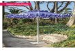 Flamenco & Petite Flamenco · PDF file FLAMENCO ¨ & PETITE FLAMENCO ¨ UMBRELLA The signature Flamenco ¨, with its fully frill-covered canopy, and the more understated Petite Flamenco