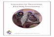 Instruction for Sacraments First Holy CommunionLetter from Bishop DiLorenzo First Holy Communion Page 1 Dear Friends, I am pleased to share with you the diocesan Instruction for Sacraments