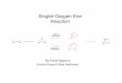 Singlet Oxygen Ene Reaction - David A. Evansevans.rc.fas.harvard.edu/pdf/smnr_2005_Nagorny_Pavel.pdf · 2007-10-09 · • The ene reaction with singlet oxygen was discovered in 1943