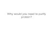 Why would you need to purify protein? - siumed.edubbartholomew/-lectures/Protein methods 08.pdfi. salting in versus salting out solubility of a protein close to its pIversus the effect
