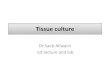 Tissue culture - Islamic University of Gazasite.iugaza.edu.ps/siwini/files/2015/10/tisue-culture-1-master.pdf · Types Of Tissue Culture 1-organ culture • Organ culture implies