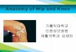 Anatomy of Hip and · PDF file 2012-05-23 · • Cup-shaped acetabulum – Ilium, ischium, and pubis • Acetabular labrum – Triangular fibrocartilaginous structure – Increase