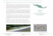 Manual de Calles: Diseño vial para ciudades mexicanas …y Urbano dependencia responsable Manual de Calles: Diseño vial para ciudades mexicanas Nacional El Manual de Calles es el