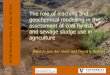 The role of leaching and geochemical modelling in the ... · The role of leaching and geochemical modelling in the assessment of coal fly ash and sewage sludge use in agriculture