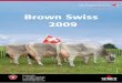 Brown Swiss 2009 - Best Genetics · Foto: Swissgenetics Brown Swiss 2009 Swissgenetics T +41 (0)31 910 62 62 F +41 (0)31 910 62 66 info@swissgenetics.ch