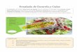 Ensalada de Escarola y Gulas · 2016-03-09 · Ensalada de Escarola y Gulas INGREDIENTES: - 150g Escarola - 1 Pimiento - 1 Berenjena - 2 Dientes de ajo - 200g Gulas - 2 Cucharadas