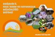 PowerPoint Sunusu · 2018-05-21 · Ġlçe Bitkisel Üretim Hayvansal Üretim Toplam ĠĢletme Sayısı Toplam Ziyaret Sayısı Görevli Mühendis Sayısı ĠĢletme Sayısı Ziyaret