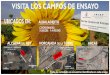 pagina.jccm.espagina.jccm.es/agricul/albaladejito/pdf/cartel_pdf2019.pdf · ENSAYO Instituto Regional de Investigación y Desarrollo Castilla.La Mancha Agroalimentario y Forestal
