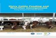 Dairy Cattle Feeding and Nutrition management · 2018-09-25 · 2. Dairy Cow Behavior and Impact on Dairy Cattle Nutrition Management 2.1 Dairy Cow Behavior Dairy cows have evolved
