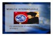 MOBILITA’ INTERNAZIONALE(informazioni fornite su sito Dipartimento) Possibile sostegno tramite le borse di mobilità internazionale. ENGECON – S. Pietroburgo Accordo di scambio