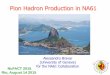 Pion Hadron Production in NA61 - bravar/talks/Bravar_NA61_  Alessandro Bravar (University