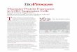 Maximize Protein Expression in CHO Suspension Cells · Maximize Protein Expression in CHO Suspension Cells Reach Critical Stages Faster: High Protein Yield and No Medium Change Figure
