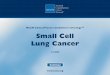 Practice Guidelines in Oncology - Pacific Cancer...® Practice Guidelines in Oncology – v.2.2009 Guidelines Index SCLC Table of Contents Small Cell Lung Cancer Staging, Discussion,