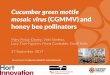 Cucumber green mottle mosaic virus (CGMMV) and honey bee … · 2017-10-19 · Cucumber green mottle mosaic virus (CGMMV) and honey bee pollinators Mary Finlay-Doney, Vicki Simlesa,