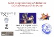 Fetal programming of diabetes DOHaD Research in Pune · Fetal programming of diabetes DOHaD Research in Pune . DJP Barker 1938- 2013 trust yourself when all men doubt you …. Banu