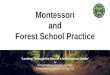 Montessori and Forest School Practice · Maria Montessori (1870-1952) Background: First female doctor in Italy (1896). Worked with and observed adults and children with additional
