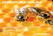 Az európai beporzó rovarokat és a mezőgazdaságot fenyegető … · 2018-10-23 · 4 Méhpusztulás – az európai beporzó rovarokat és a mezőgazdaságot fenyegető veszélyek