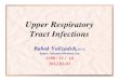 Upper Respiratory Tract Infections - Dr.Valizadehiacld.ir/DL/modavan/bacteriology/upperrespiratorytract...Ph itiPharyngitis ¾Viruses are the most common cause of pharyngitis in both