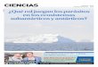 CIENCIAS - La Prensa Austral · cies de Notothenidos obtenidos desde la Antártica, en las campa-ñas del año 2015 y 2016 del Proyecto Inach RT- 22-14. Monogeneo Pseudoneobenedenia