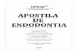 Apostila Endodontia FOA 2015sgcd.foa.unesp.br/home/pos/apostila-endodontia-foa-2015.pdf · “APOSTILA DE ENDODONTIA - UNESP ARAÇATUBA” Holland R, Sousa V, Nery MJ, Bernabé PFE,