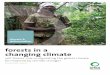 © joseph zacune forests in a changing climate...forests in a changing climate will forests’ role in regulating the global climate be hindered by climate change? introduction 4 executive