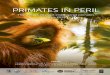 PRIMATES IN PERIL - Global Wildlife Conservation...PRIMATES IN PERIL The world’s 25 most endangered primates 2018-2020 Edited by Christoph Schwitzer, Russell A. Mittermeier, Anthony