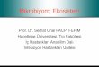 Prof. Dr. Serhat Ünal FACP, FEFIM Hacettepe …Prof_Dr...metabolizması kolesterol ve trigliserit dengesi Safra tuzlarının dekonjugasyonu Bilirubin, steroid hormonların İlaçların