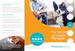 pancreatitis. The facts. - Pet Health · PDF file “pancreatitis” is an inflammation of the pancreas. Pancreatitis can be acute or chronic. Acute pancreatitis occurs abruptly and