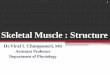Skeletal Muscle : Structurezmchdahod.org/pdf/college/2SkeletalMusclestructure30102018Physiology.pdf · Myosin (Thick) 2. Actin (Thin) 3. Sarcomere 2 . Short notes (4 marks) 1. Sliding