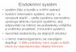 Endokrinní systém - Univerzita · PDF file Endokrinní systém •systém žláz a buněk s vnitřní sekrecí •funkční informační systém, druhý –a vývojově starší