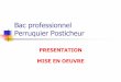 Bac professionnel Perruquier Posticheursbssa.enseigne.ac-lyon.fr/spip/IMG/pdf/2013-presentation...Bac professionnel Perruquier Posticheur Champs d’activités Le Perruquier posticheur