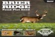 Food Plot Seed · Food Plot Seed. a. About . Brier Ridge™ Brier Ridge. TM. products have been formulated to provide superior performance in establishing, attracting and keeping
