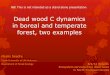 Dead wood C dynamics in boreal and temperate forest · Dead wood C dynamics in boreal and temperate forest, two examples Meelis Seedre Czech University of Life Sciences Department