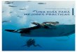 Turismo Responsable con Tiburones y Rayas UNA GUÍA PARA MEJORES PRÁCTICAS · 2018-08-05 · de tiburones o rayas y la composición de las especies en las localidades de operación,