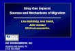 Stray Gas Impacts: Sources and Mechanisms of Migration · Stray Gas Impacts: Sources and Mechanisms of Migration Lisa Molofsky, Ann Smith, John Connor . GSI Environmental Inc. Houston