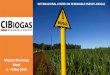 Maputo Bioenergy Week 5 9 May 2014 · CONCLUSIONS ON BIOGAS PRODUCTION AND USE • Biogas generates income • Biogas enhances rural economy • Biogas reduces hydro resources contamination