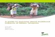 A guide to learning about livelihood impacts of REDD+ · A guide to learning about livelihood impacts of REDD+ projects Pamela Jagger University of North Carolina at Chapel Hill CIFOR