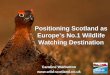 Positioning Scotland as Europe’s No.1 Wildlife …innopp.no/docs/studietur/Skottland/Positioning Scotland...Caroline Warburton Positioning Scotland as Europe’s No.1 Wildlife Watching