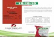Fertilizante 18-18-18 - Calferquimcalferquim.com/files/ficha tecnica triple 18.pdf · FOSFORO ASIMILABLE POTASIO SOLUBLE (N) (P 2O 5) (K 2O) 18% 6.2% 11.8% 18% 18% Cultivo Kgr/Ha
