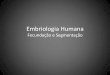 Embriologia Humana Fecundação e Segmentação · Embriologia Humana Fecundação e Segmentação • 1 - Capacitação dos espermatozóides (dentro do trato feminino) - remoção