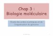 Chap 2 : Biologie moléculairebhpicard.free.fr/Files/bcm_3_an.pdf1) définition Génome = ensemble des gènes et par extension ensemble des molécules portant les gènes, donc ADN