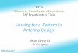 Looking for a Pattern in Antenna Design · 2015-10-30 · Looking for a Pattern in Antenna Design . Sean Edwards . RF Designer . What pattern are you looking for? • Polarization: