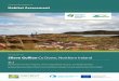 Habitat Assessment · 2 Habitat Assessment Executive Summary Upland paths on Slieve Gullion have deteriorated due to increased use and other disturbances and this is having a detrimental