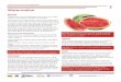 Enjoy Fruit Watermelon - farmtoschoolcoalitionnc.org · Watermelon Enjoy more fruits and vegetables Grow Watermelon is a fruit which grows on a vine. It is a close cousin to cucumbers,
