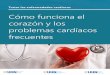 Cómo funciona el corazón y los problemas cardíacos frecuentes · La enfermedad de las arterias coronarias es el tipo más común de enfermedad cardíaca. La enfermedad de las arterias