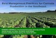 Best Management Practices for Carinata Production in the ...programs.ifas.ufl.edu/media/programsifasufledu/... · History of Brassica carinata Research at UF, NFREC Evaluation of