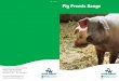 Pig Premix Range - Trouw Nutrition GB - Homegb.trouwnutrition.co.uk/.../tngb_pigleaflet.pdfPig Premix Range 25kg pack size - 6 month shelf life 25kg inclusion rate per tonne finished