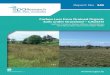 Carbon Loss from Drained Organic Soils under Grassland ... · Carbon Loss from Drained Organic Soils under Grassland – CALISTO Authors: Florence Renou-Wilson, David Wilson, 