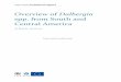 Overview of Dalbergia - European Commissionec.europa.eu/environment/cites/pdf/reports/Overview of... · 2016-06-09 · Overview of Dalbergia spp. from South and Central America -