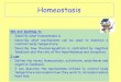 Homeostasis · 2019-12-14 · Homeostasis We are learning to • Identify what homeostasis is • Describe what mechanisms can be used to maintain a constant body temperature. •